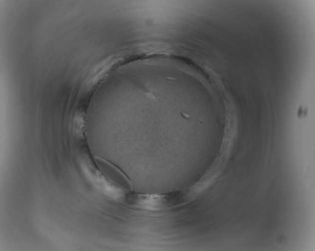 X0000114210288200910091331