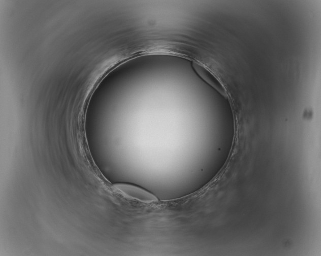 X0000114210289200910091330