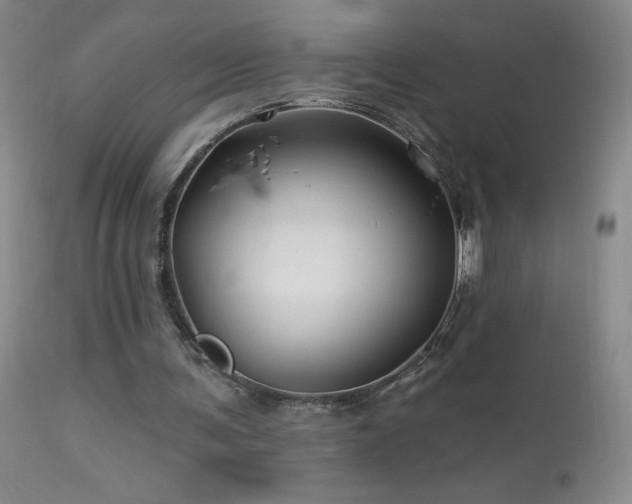 X0000114210291200910091330
