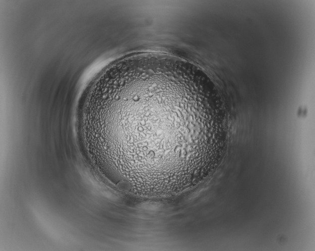 X0000114210294200910091330