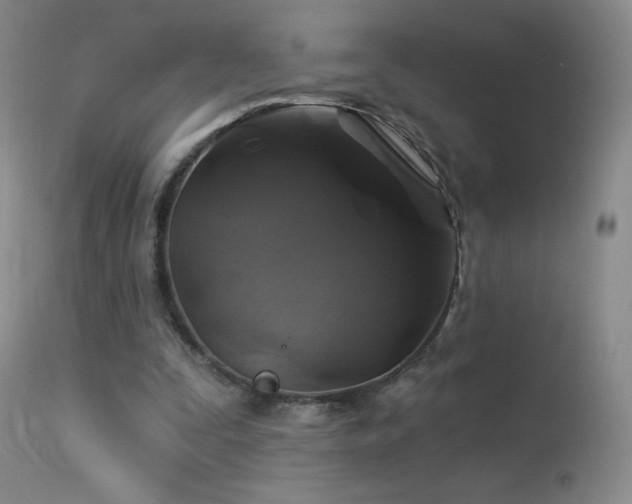 X0000114210295200910091330