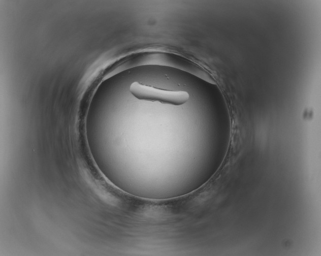 X0000114210296200910091330
