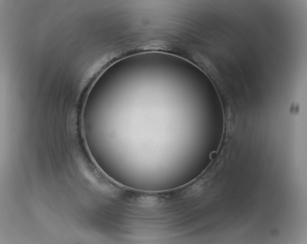X0000114210298200910091330
