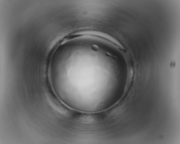 X0000114210299200910091330