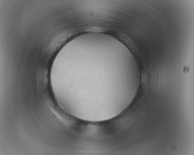 X0000114210302200910091330