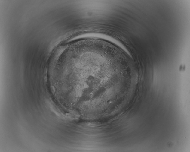 X0000114210303200910091330