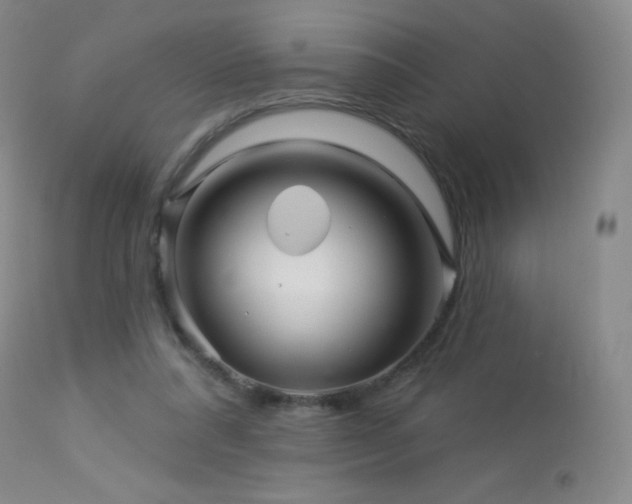 X0000114210304200910091330