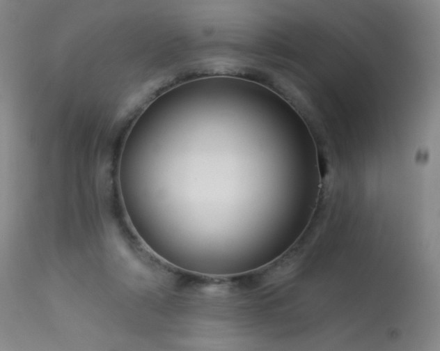 X0000114210306200910091330