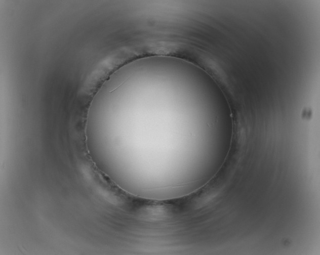 X0000114210307200910091330