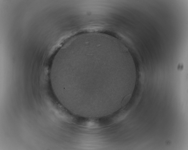 X0000114210308200910091330