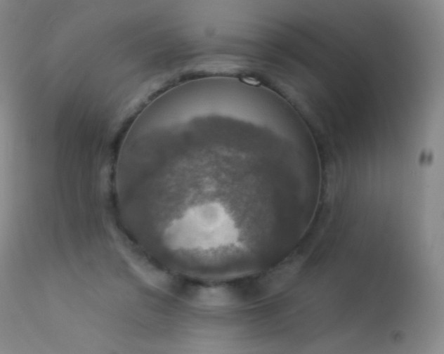 X0000114210309200910091330