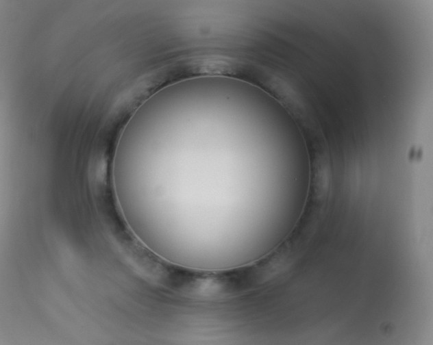 X0000114210310200910091330