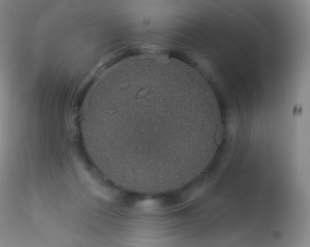 X0000114210312200910091330