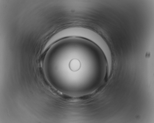 X0000114210313200910091330