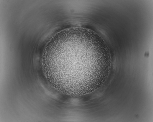 X0000114210314200910091330