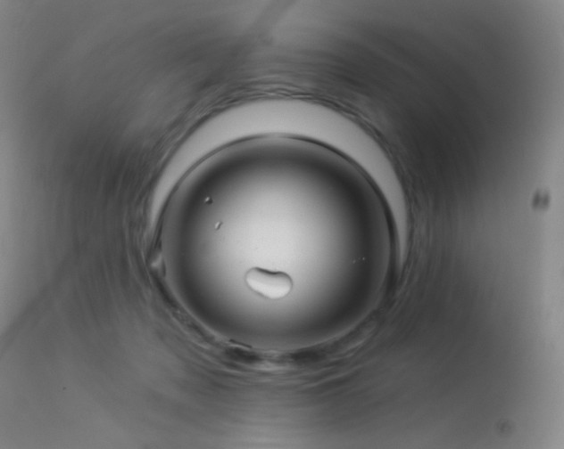 X0000114210317200910091330