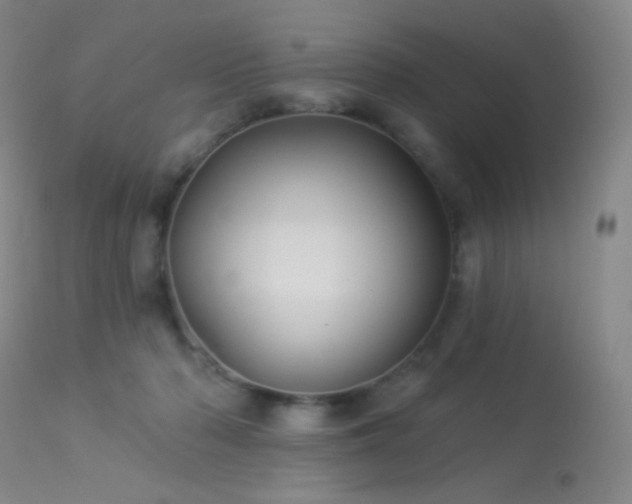 X0000114210318200910091330