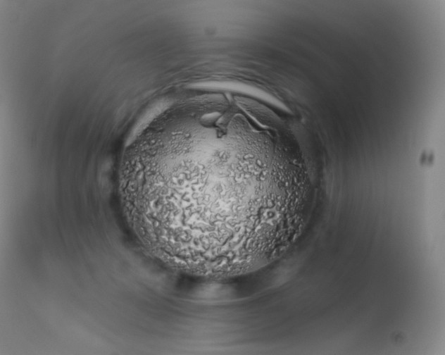 X0000114210319200910091330