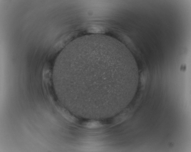 X0000114210322200910091330