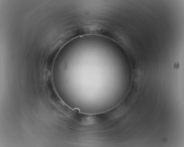 X0000114210324200910091330