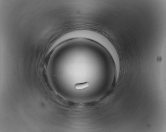 X0000114210325200910091330