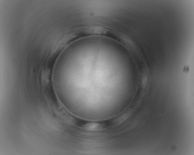 X0000114210326200910091330