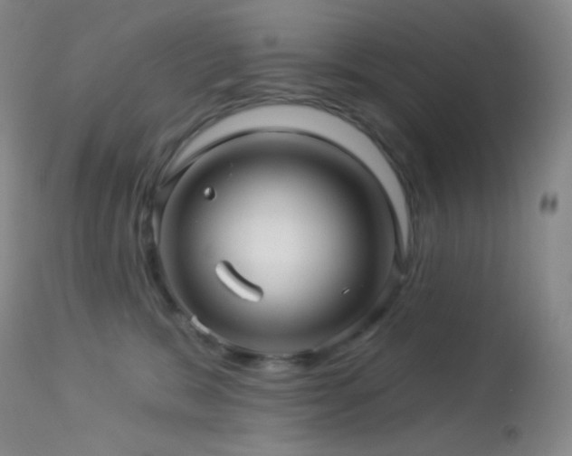 X0000114210327200910091330