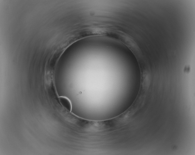 X0000114210329200910091330