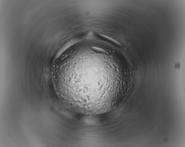 X0000114210331200910091330