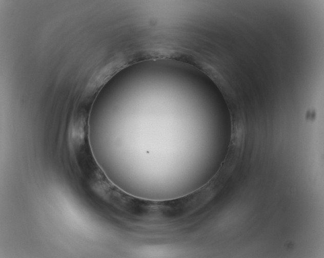 X0000114210334200910091329
