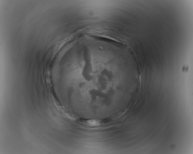 X0000114210335200910091329
