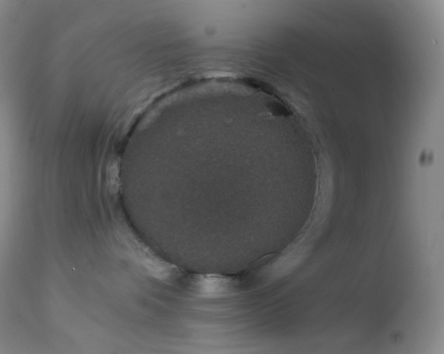 X0000114210336200910091329