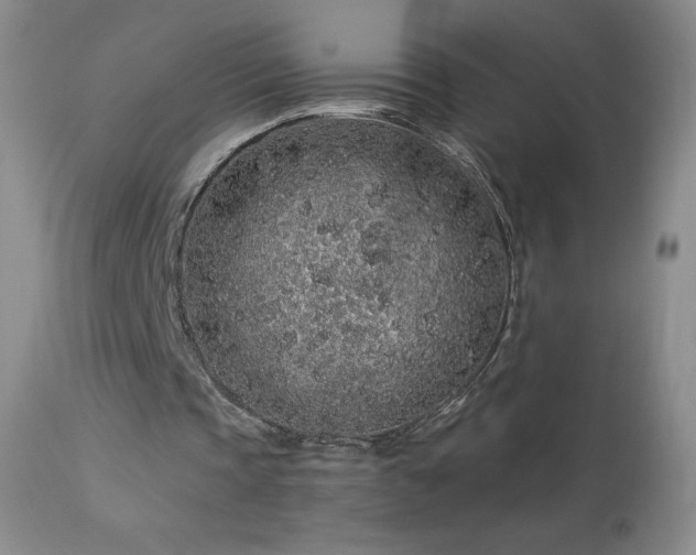 X0000114210337200910091329