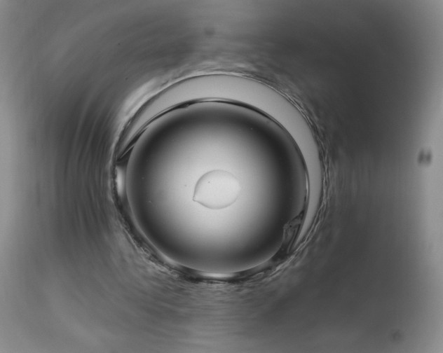 X0000114210340200910091329