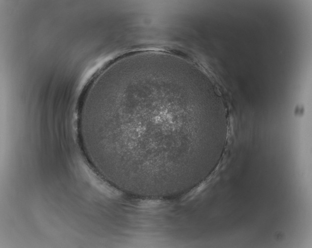 X0000114210342200910091329