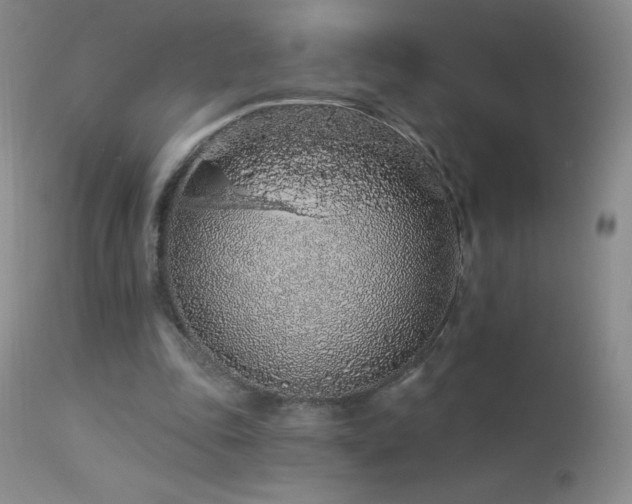 X0000114210343200910091329