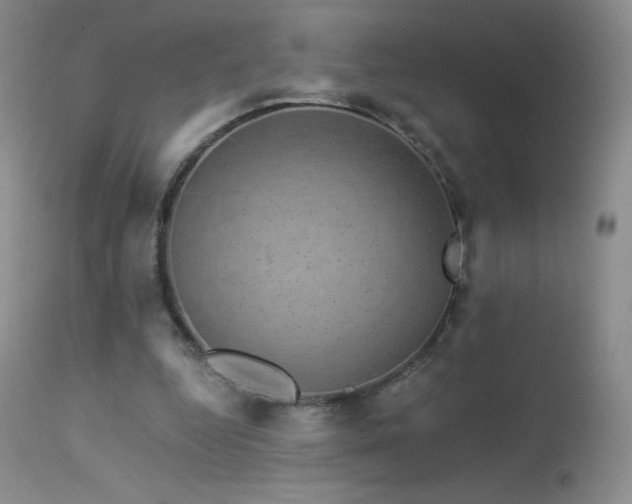 X0000114210344200910091329