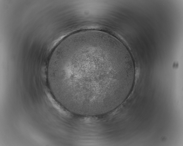 X0000114210345200910091329