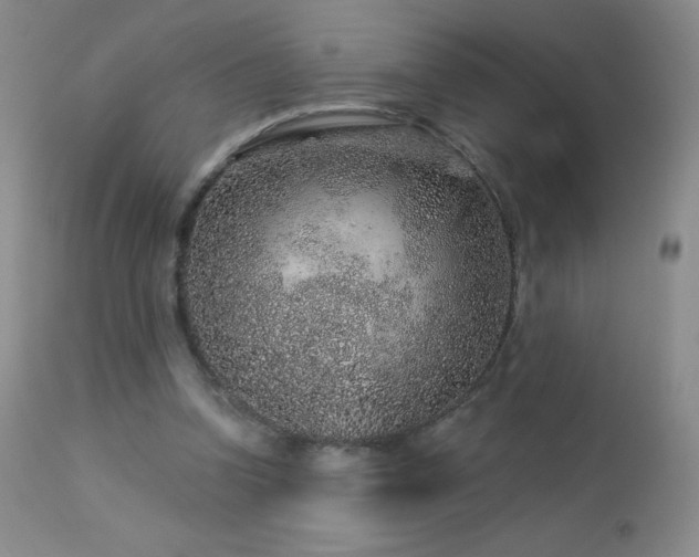 X0000114210346200910091329
