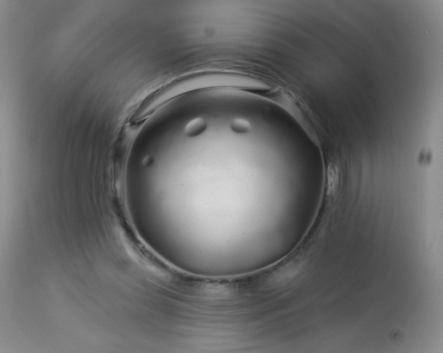 X0000114210349200910091329