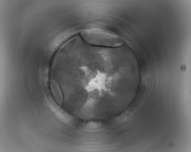 X0000114210350200910091329