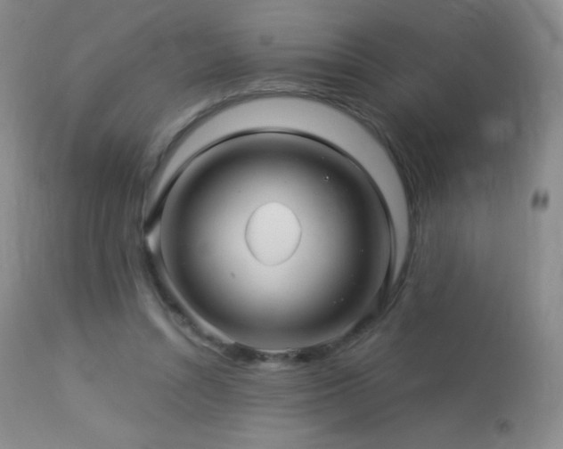 X0000114210352200910091329