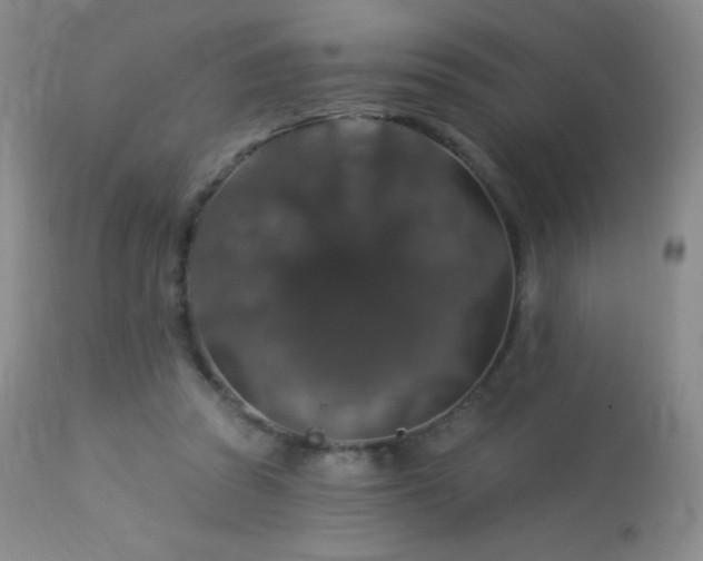 X0000114210353200910091329