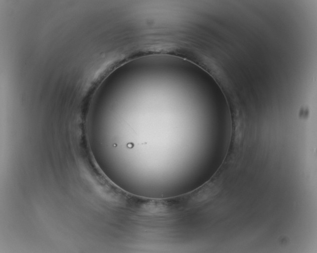 X0000114210354200910091329