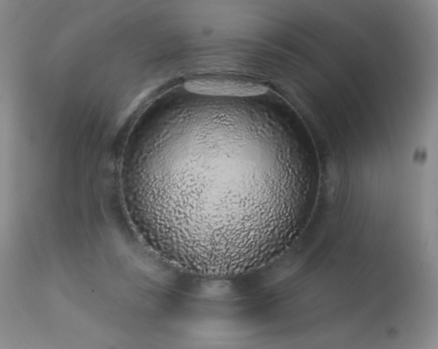 X0000114210355200910091329