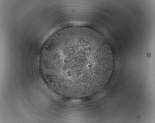 X0000114210357200910091329