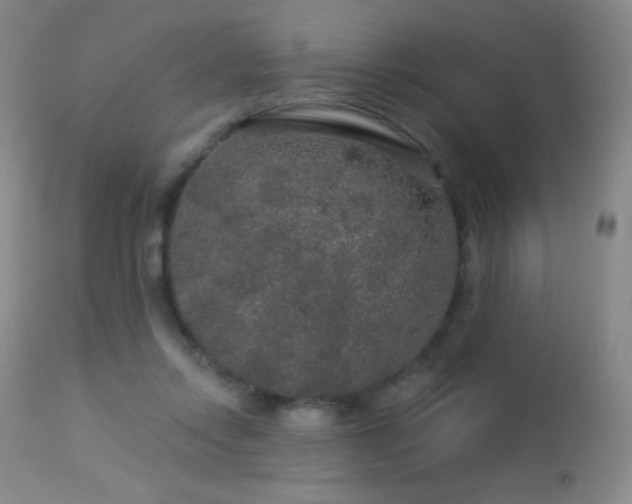X0000114210358200910091329
