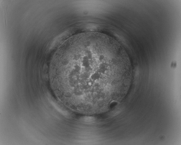 X0000114210361200910091329