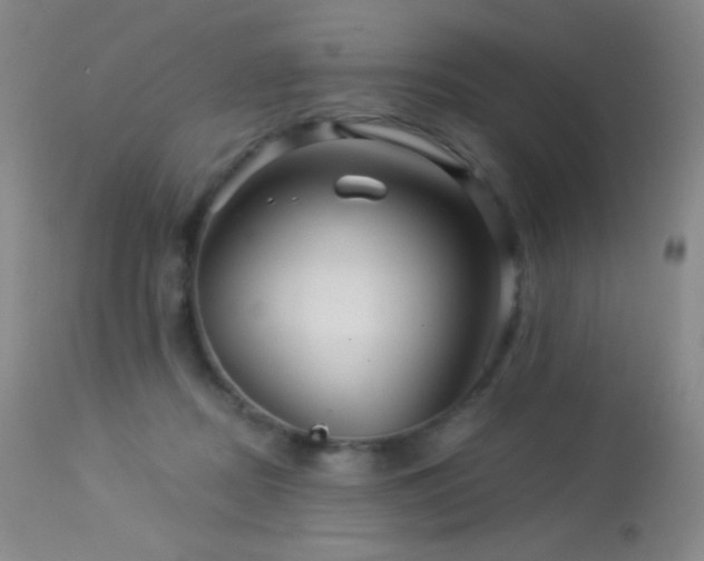 X0000114210362200910091329