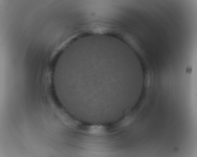 X0000114210363200910091329